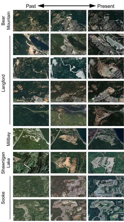 Forest loss due to sprawl